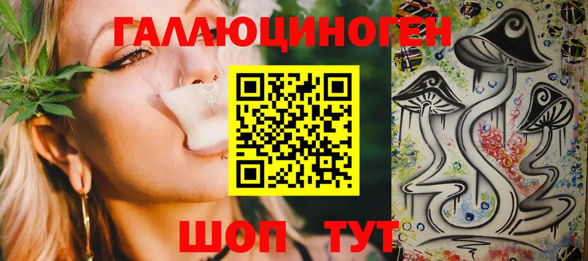 Галлюциногенные грибы Psilocybe Гурьевск